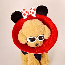 도그아이 강아지 고양이 깔대기 넥카라 쥐순이 5호, 5호-쥐순이, 1개