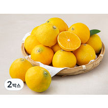 곰곰 황금향, 2박스, 2kg