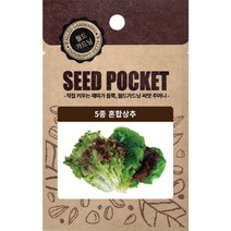 월드가드닝 행복한 텃밭 좋은 씨앗 5종혼합상추씨 2000개, 1세트