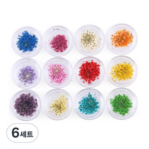 테네져 드라이생화 압화네일 12종 세트, 혼합색상, 6세트