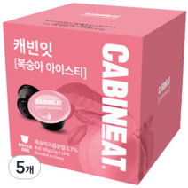 캐빈잇 복숭아 아이스티, 25g, 16개입, 5개