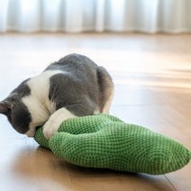 파스텔펫 냥이 선인장 캣닢 쿠션, 타입G, 1개