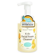 보타니컬테라피 키즈 페이셜 폼 클렌저, 280ml, 1개