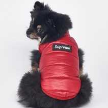 도그아이 슈프림 패딩 강아지옷, 레드