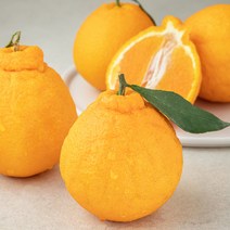 곰곰 GAP 한라봉, 1.5kg, 1봉