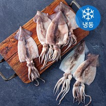곰곰 국산 손질 오징어 (냉동), 700g, 1개