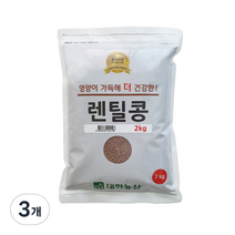대한농산 렌틸콩, 2kg, 3개