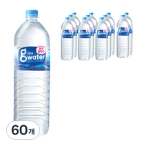 웅진 가야워터 생수, 60개, 2L