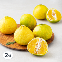 감귤상회 당도선별 꼬마 황금향, 1kg(4~7입), 2팩