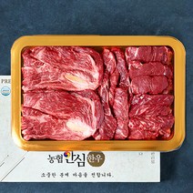 농협안심한우 1등급 등심 500g + 치마살 150g + 제비추리 150g + 안심 200g 채반 선물세트 3호 (냉장), 1세트