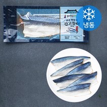 곰곰 안동식 간고등어 (냉동), 100g, 10개