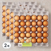 딜리조이 무항생제인증 특란 60구, 2개