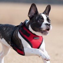 퍼피아 어깨 버클 하네스, 레드