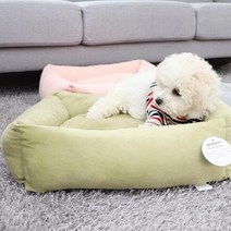 레드퍼피 몰리 스토리 사각방석, 파스텔카키