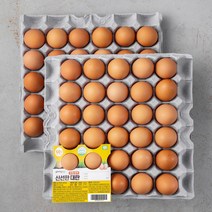 계란 제품정보