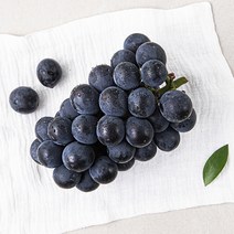 한반도 비파괴 당도선별 거봉, 1개, 500g