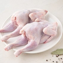 [농장직송] 오골계 정일품 15호(1.5Kg) 삼계탕 닭백숙 백숙 토종닭