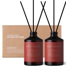 에이센트 네이처 디퓨저 실속형 200ml x 2p 세트, 딥체리