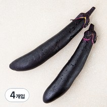 곰곰 국내산 가지, 2개입, 2개