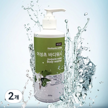 케이엔에이치 어성초 바디워시, 300g, 2개