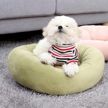 레드퍼피 몰리스토리 반려동물 원방석, 파스텔카키