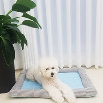 컴패니언 아이스쿨 매트방석, 혼합 색상