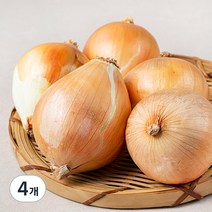 국내산 친환경 양파, 800g, 4개