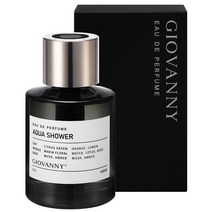 지오바니 프리미엄 차량용 디퓨저 160ml, 아쿠아샤워, 1개