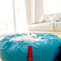 퍼피엔젤 쏘오옥 쿠션 쿨링 메모리 커버 PA-BV189, 715 Blue