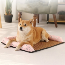 파스텔펫 반려동물 애니멀 쿨방석, 타입A