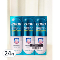 2080 진지발리스 치약 허벌민트향, 120g, 24개