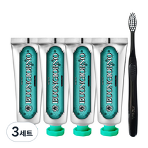 덴티본조르노 구취케어 치약 100g x 4p + 미세모 칫솔 세트, 3세트