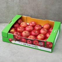 곰곰 국내산 사과(18~23입), 5kg, 1박스