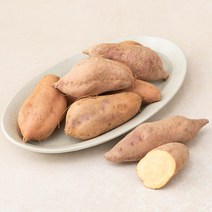 친환경 호박고구마, 1.5kg, 1봉