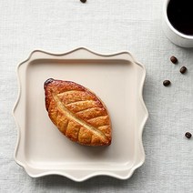 에라토 벨라 사각접시, 베이지