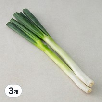 국내산 깐대파, 300g, 3개
