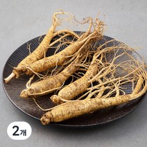 곰곰 농협 금산 인삼, 300g, 2개
