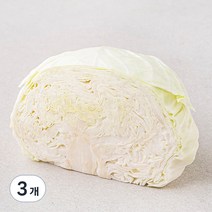 곰곰 친환경 양배추 1/2통, 500g, 3개