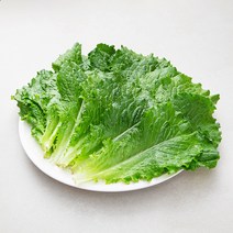 국내산 친환경 청상추, 150g, 1개