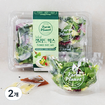 팜플래닛 샐러드믹스 키트, 525g, 2개