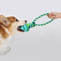 딩동펫 반려동물 라텍스장난감 막대봉 터그츄 32cm, 민트, 1개