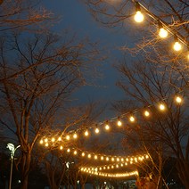 스트링월드 스트링 라이트 줄조명 15M 15소켓 (블랙) + LED전구 12W 전구색 15p 세트, 전등선(블랙), 벌브(전구색)