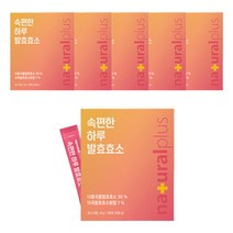 내츄럴플러스 속편한 하루 곡물 발효효소, 6개, 120g