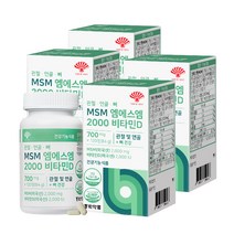 동화약품 MSM 엠에스엠 2000 비타민D 84g, 4개, 120정, 120정