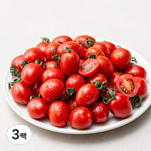 곰곰 국내산 스마트팜 대추방울토마토, 1kg, 3팩
