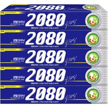 2080 클래식 치약, 170g, 5개