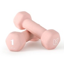 아리프 네오프렌 선인장 아령 1kg 2개
