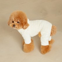 가성비 좋은 강아지동물옷 중 알뜰하게 구매할 수 있는 추천 상품