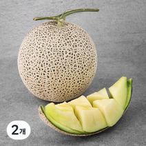 곰곰 x 농협 곰곰 부여 멜론, 1.25kg, 2개