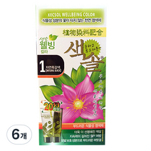 색솔 웰빙 칼라 크림 염색제 70g, 1호(자연흑갈색), 6개